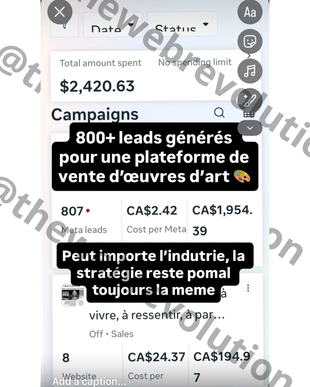 Résultat client The Web Revolution, capture de campagne