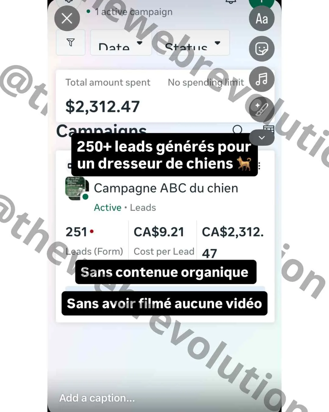 Résultat client The Web Revolution, capture de campagne